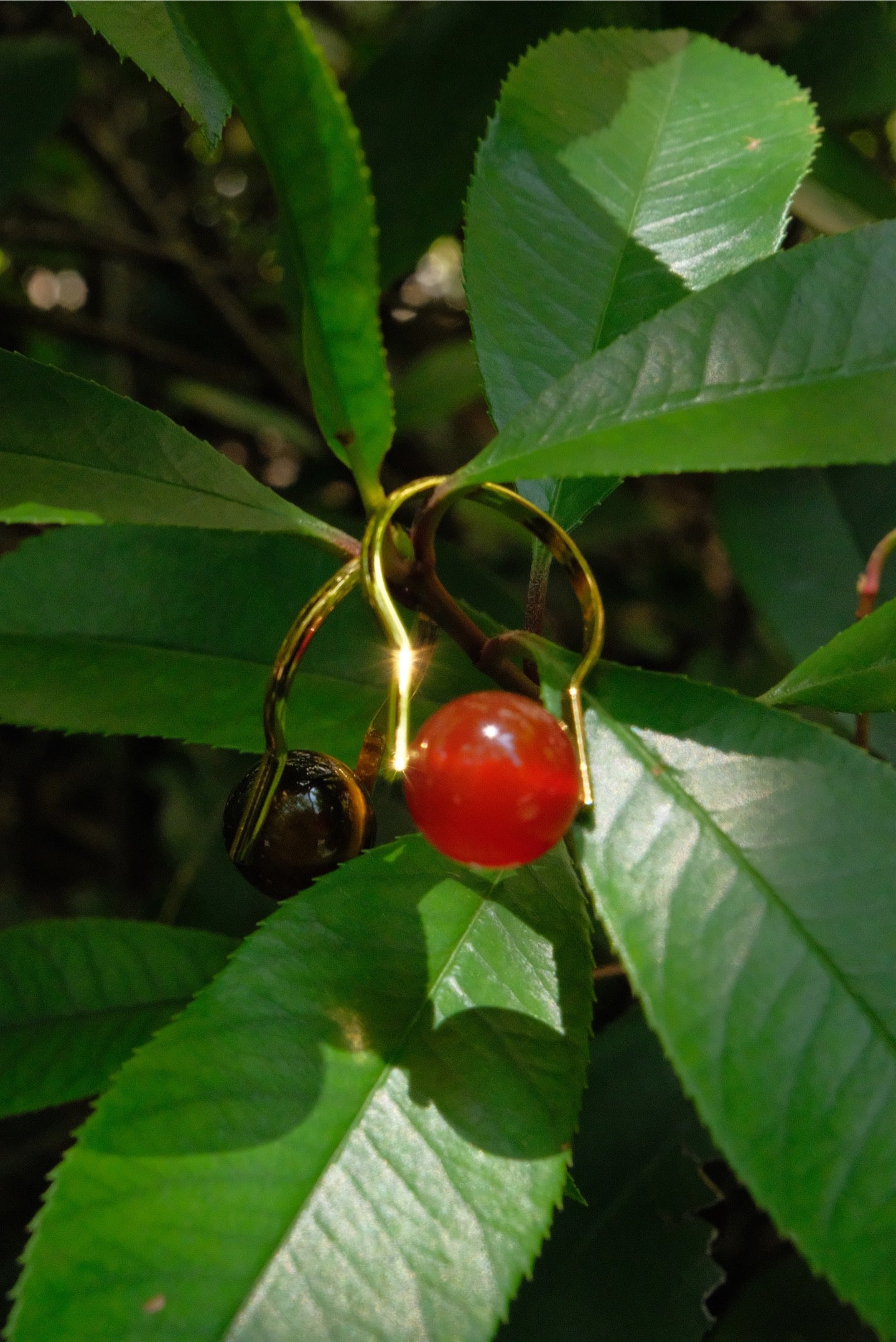 Red agate ring
