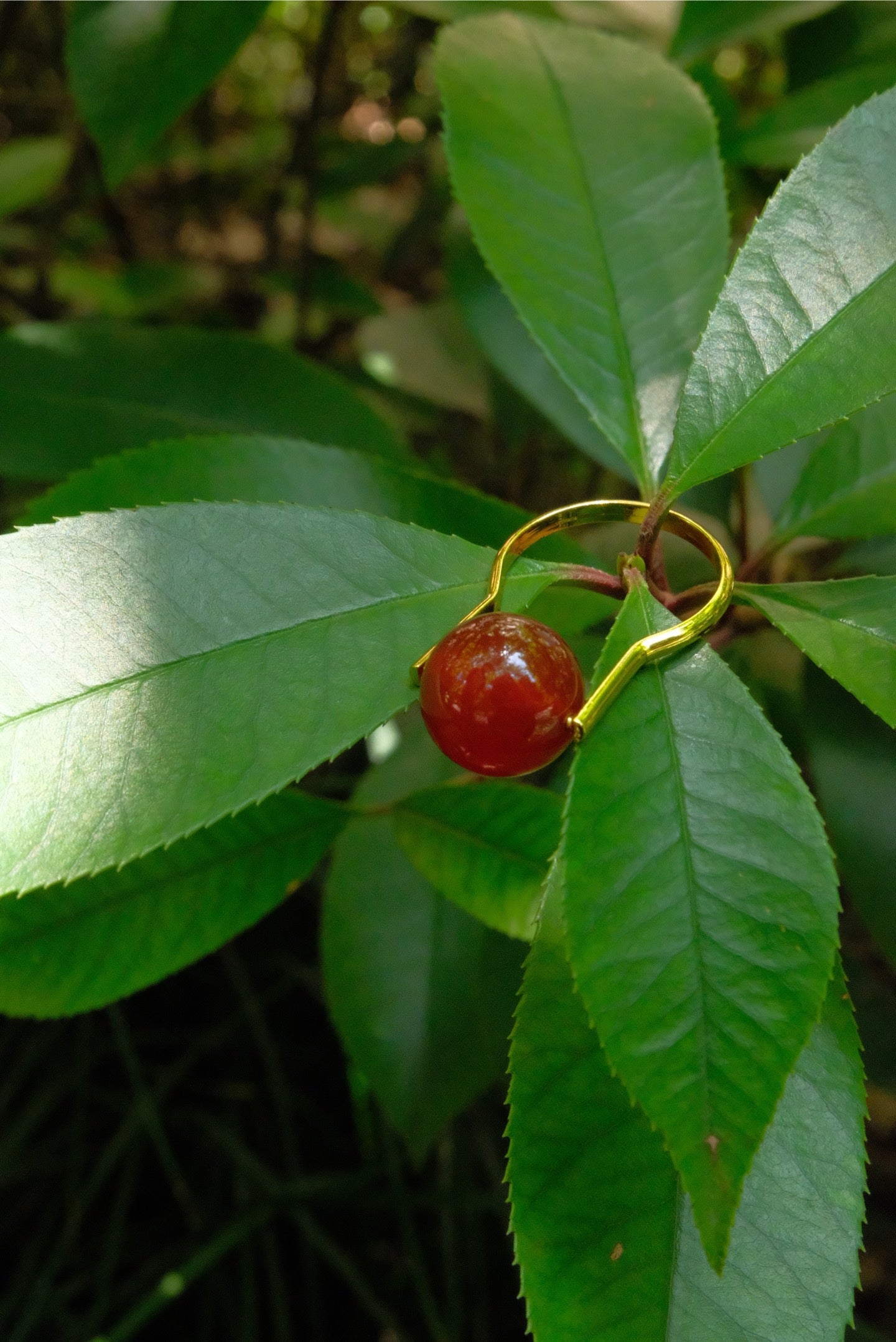 Red agate ring